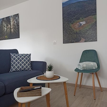 Chalet Kelly, Centre Ville / Jacuzzi / Sauna Gerardmer Ngoại thất bức ảnh