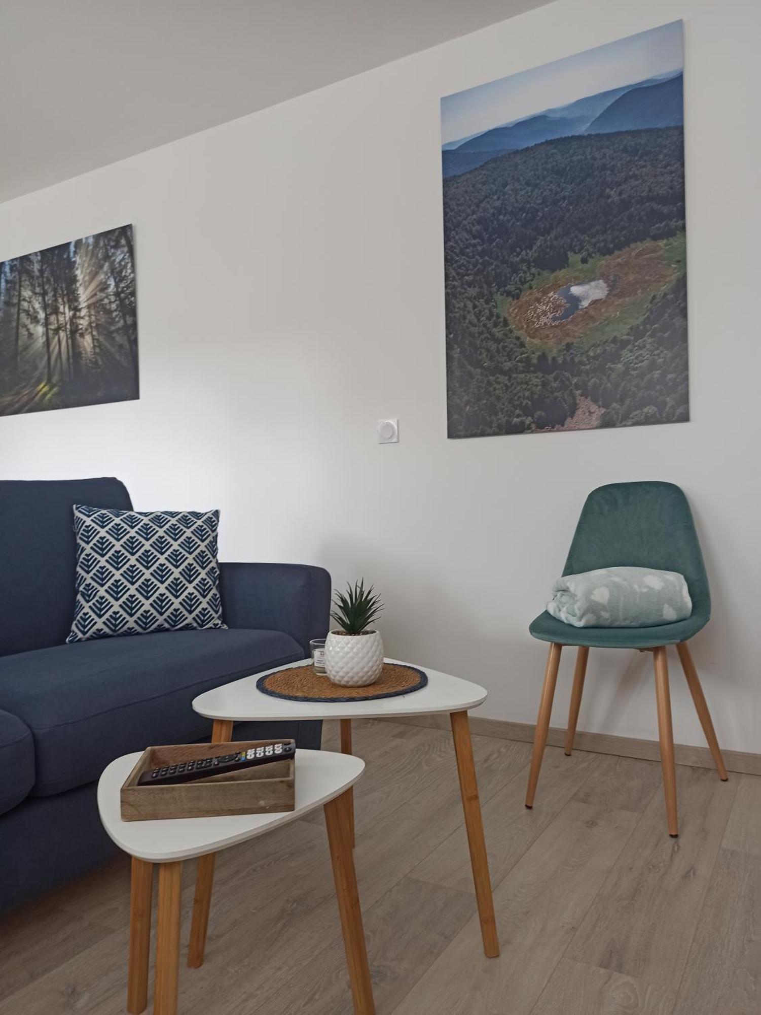 Chalet Kelly, Centre Ville / Jacuzzi / Sauna Gerardmer Ngoại thất bức ảnh